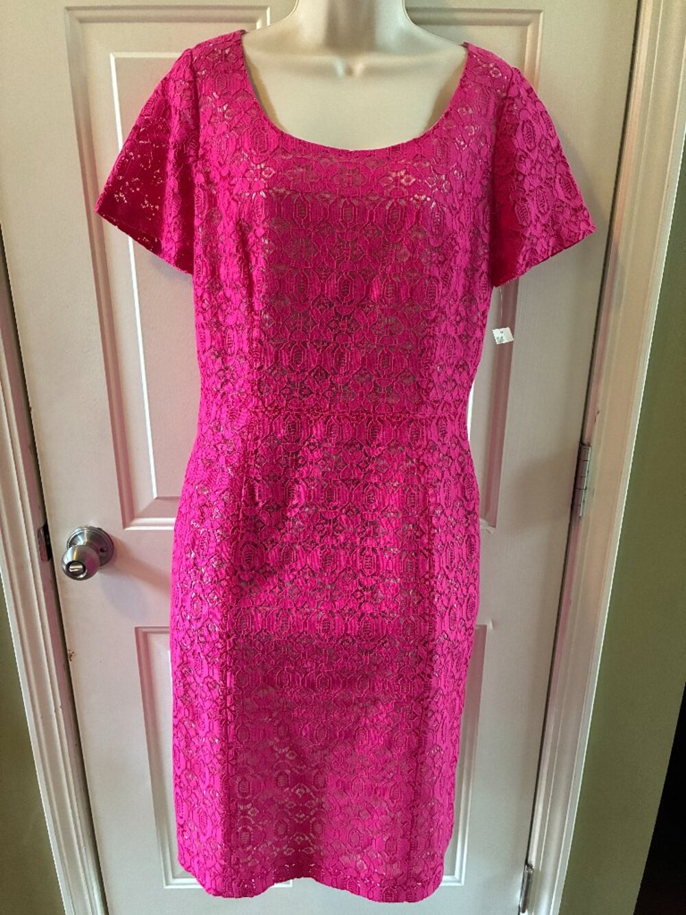 Preston & York bright pink lace dress — new with tags 💖 Size 8